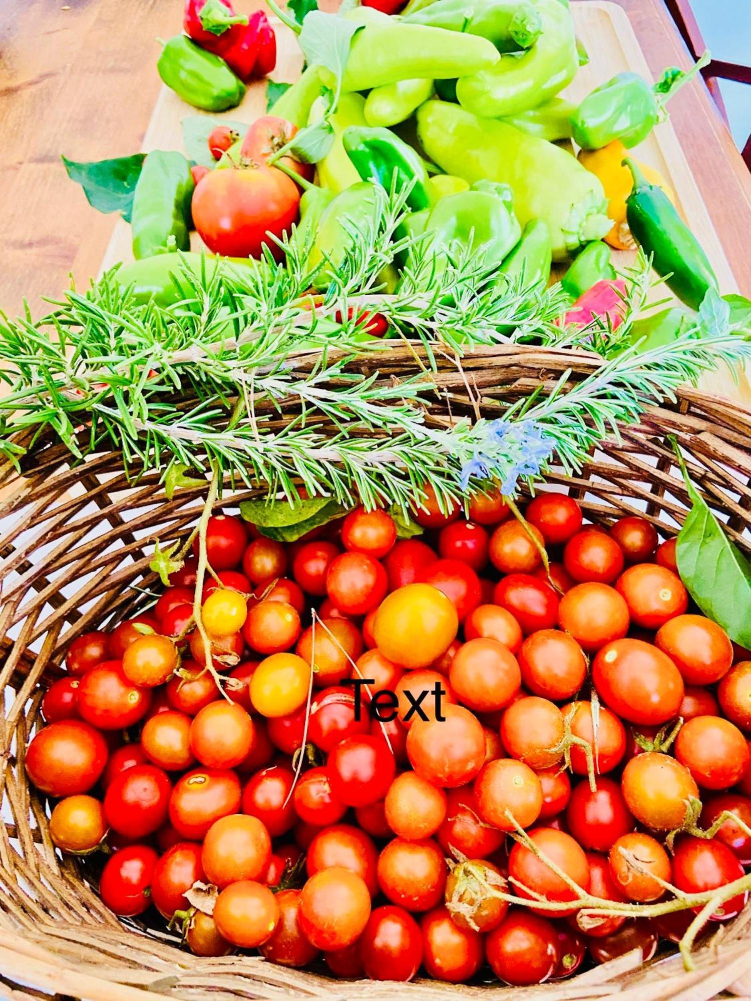 Finca Sa Canova Agroturismo กัมโปส ภายนอก รูปภาพ